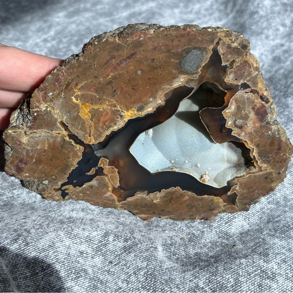 Thunderegg Oregon geode lava crystal mineral natural home mantle decor gemstone
